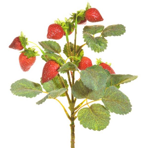 artificial strawberry pick with green leaf foliage