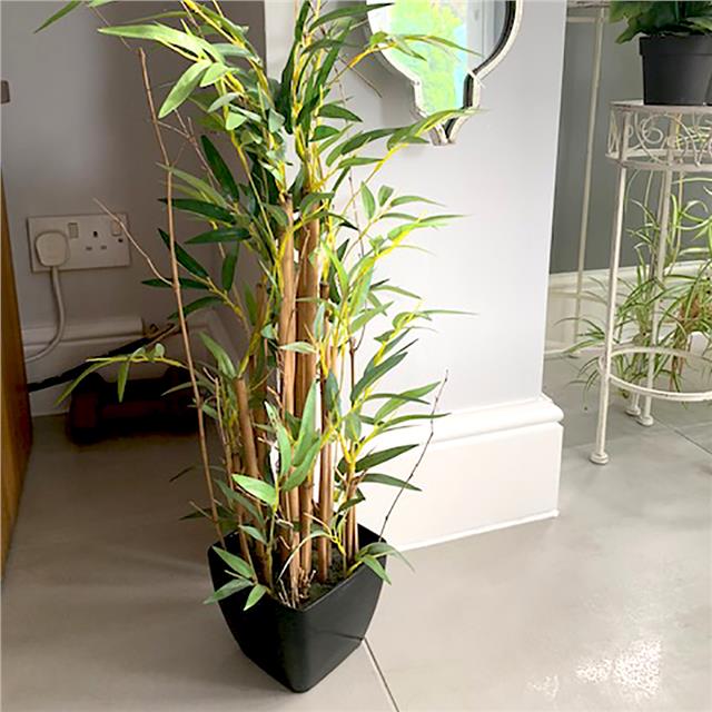 Artificial Bamboo Plant 70cm Tall In Black Pot Shelf Edge Uk