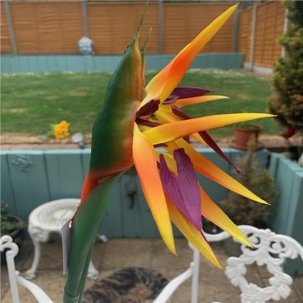 Artificial Bird of Paradise | Faux bird of paradise | Shelf Edge UK