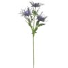 https://shared1.ad-lister.co.uk/UserImages/7eb3717d-facc-4913-a2f0-28552d58320f/Img/artificialfl/Wild-Eryngium-Sea-holly-Blue.jpg