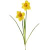 https://shared1.ad-lister.co.uk/UserImages/7eb3717d-facc-4913-a2f0-28552d58320f/Img/artificialfl/Silk-2-Head-Spring-Daffodil-Yellow.jpg