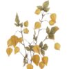 https://shared1.ad-lister.co.uk/UserImages/7eb3717d-facc-4913-a2f0-28552d58320f/Img/autumnfoliag/Faux-Physalis-Chinese-Lantern-Spray-Yellow.jpg